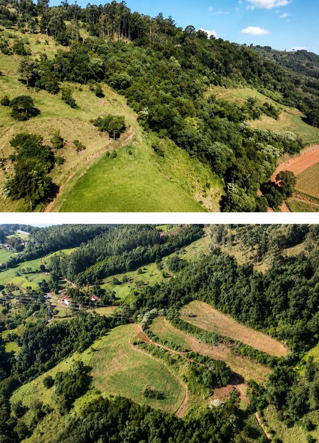Área de terra à venda no Interior, Arvoredo SC, estrutura completa para pecuária